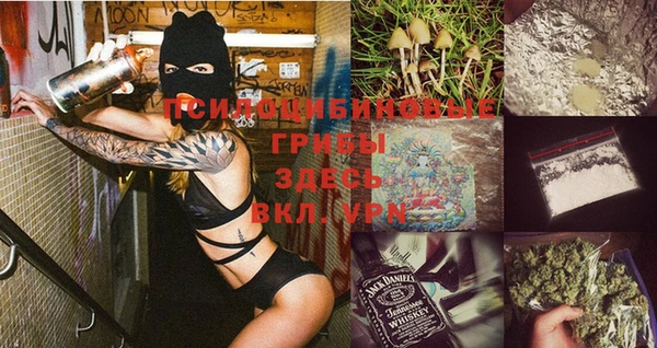 тгк Богданович