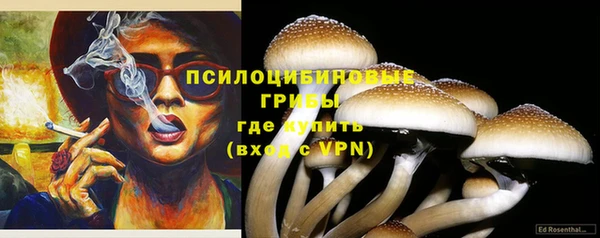 тгк Богданович