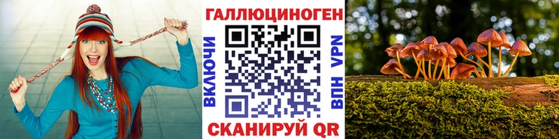 hydra зеркало  Лодейное Поле  Псилоцибиновые грибы GOLDEN TEACHER 